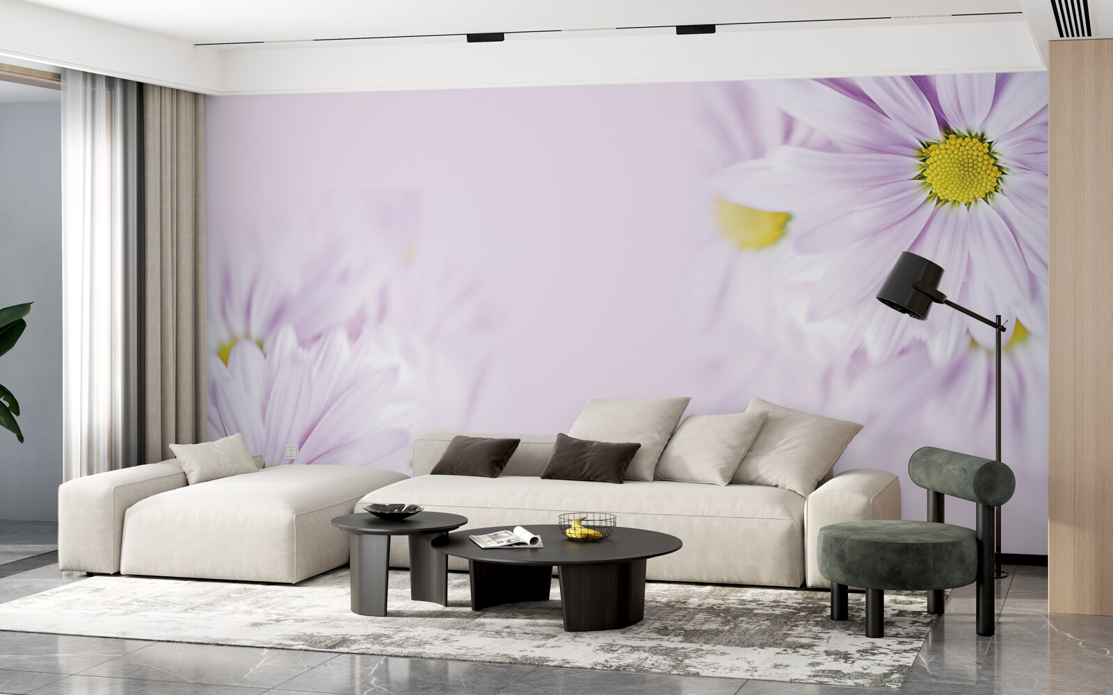 Fotobehang verfijnde sneeuwwitte margrieten