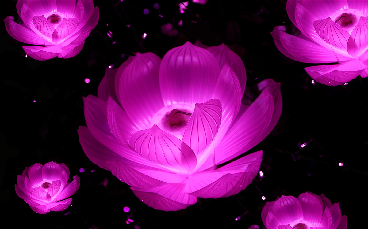 Fotobehang paarse bloemen in neonlicht