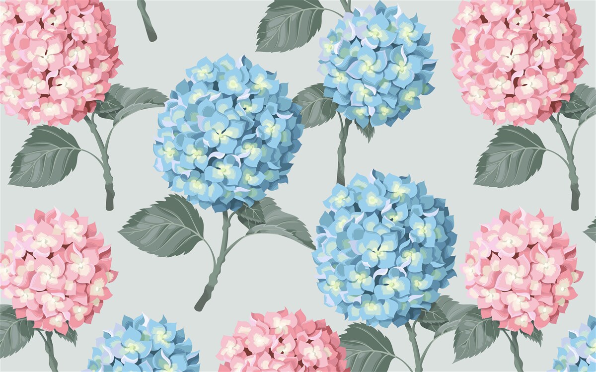 Fotobehang roze en blauwe hortensia's