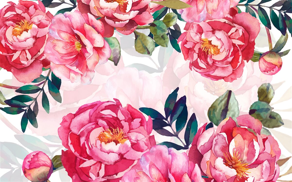 Fotobehang pioenen zijn groot en scharlakenrood van kleur