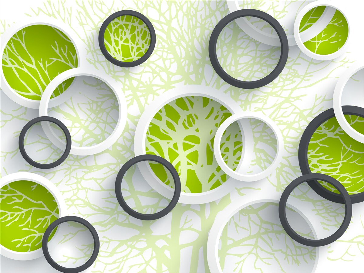 Fotobehang de cirkels van de lens weerspiegelen het groen van de boombladeren