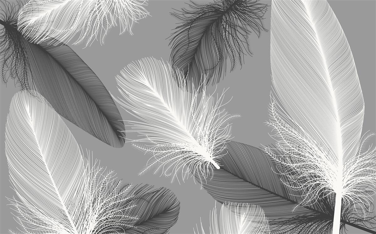 Fotobehang zilveren en lichte pluizige borden