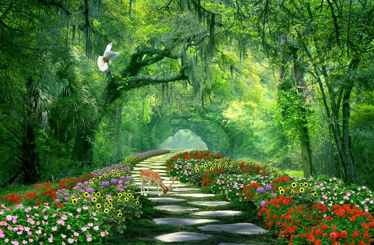 Fotobehang een kleurrijk tropisch pad bezaaid met bloemen door het bos