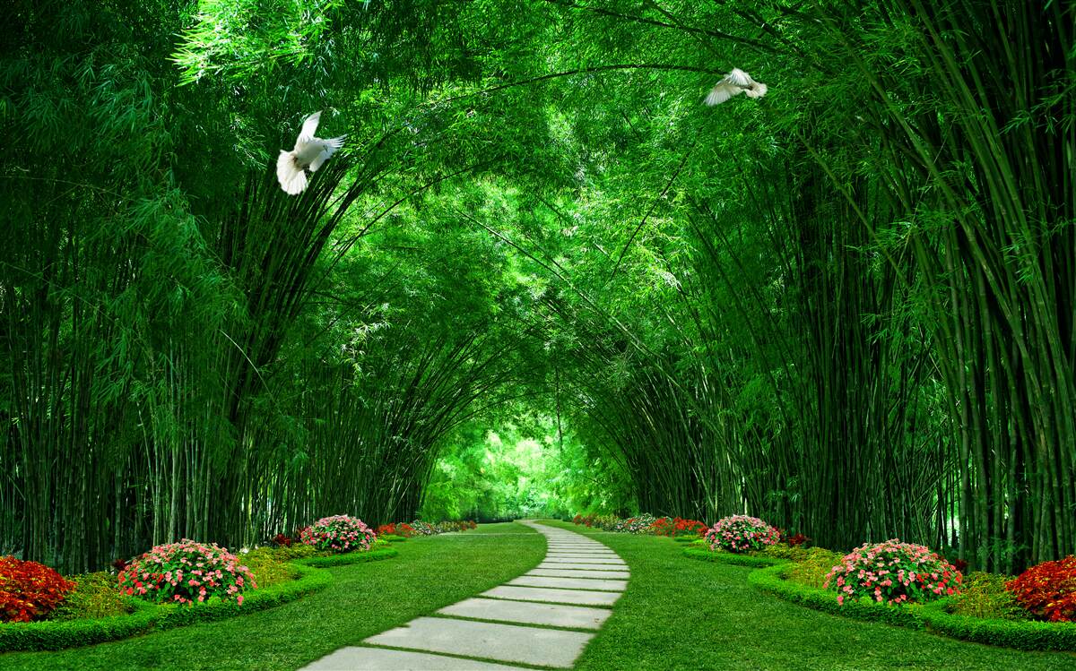 Fotobehang Pad door de tunnel gevormd door de boomtoppen