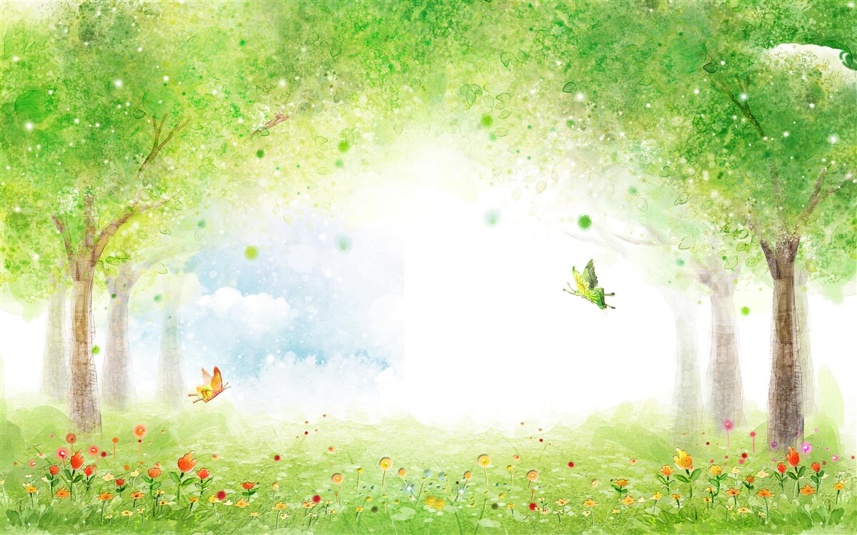 Fotobehang intrigerende mist in een magisch bos