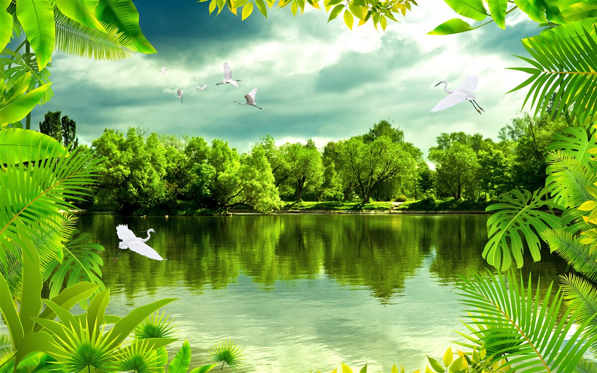 Fotobehang spectaculair meer in het bos