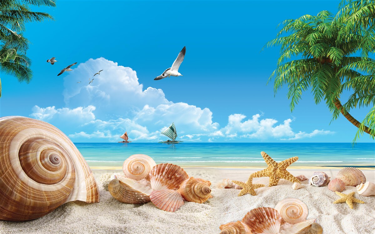 Fotobehang schelpen aan de kust