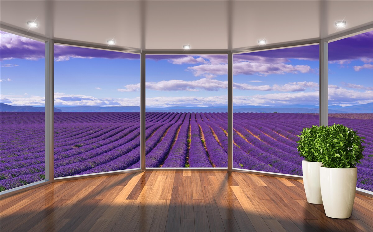 Fotobehang uitzicht op het lavendelveld direct vanaf het balkon