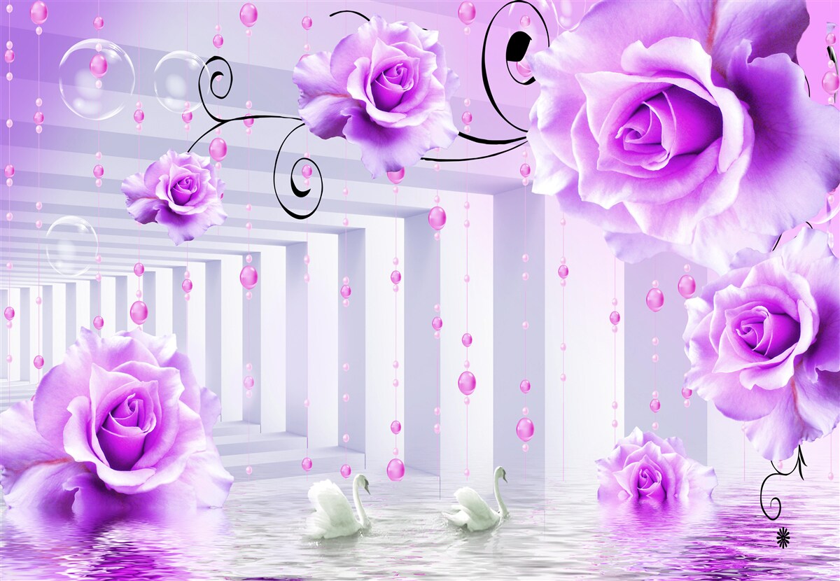 Fotobehang lila rozen drijvend op water