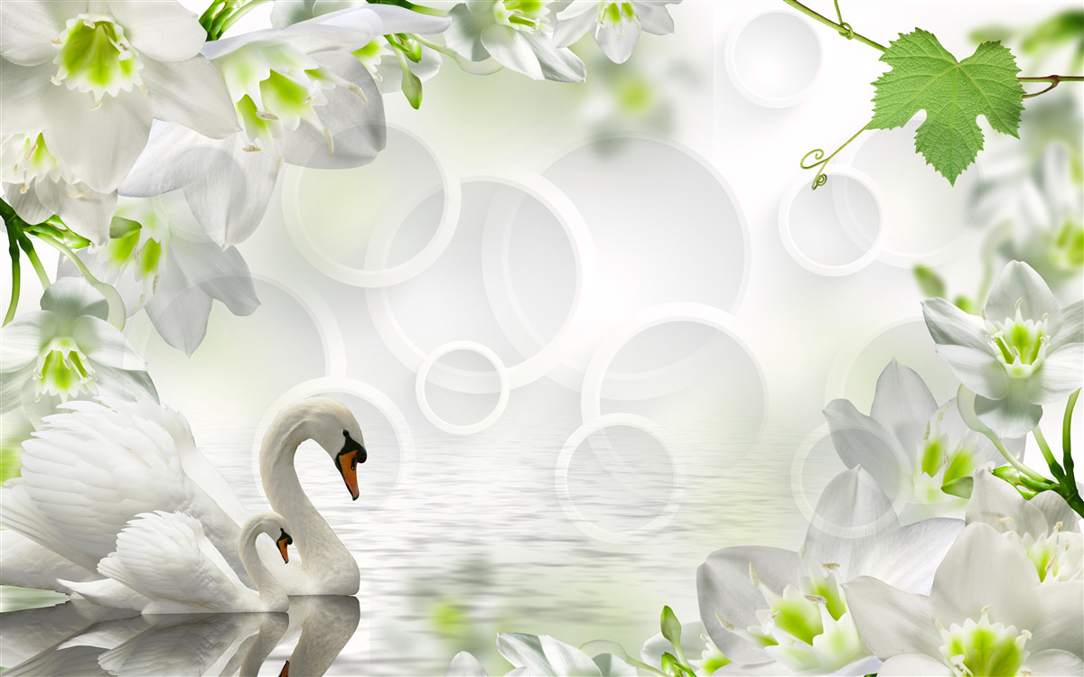 Fotobehang witte bloemen op een meer tussen zwanen