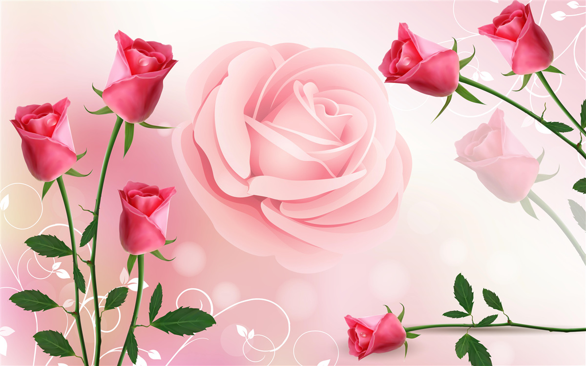 Fotobehang set roze rozenknoppen