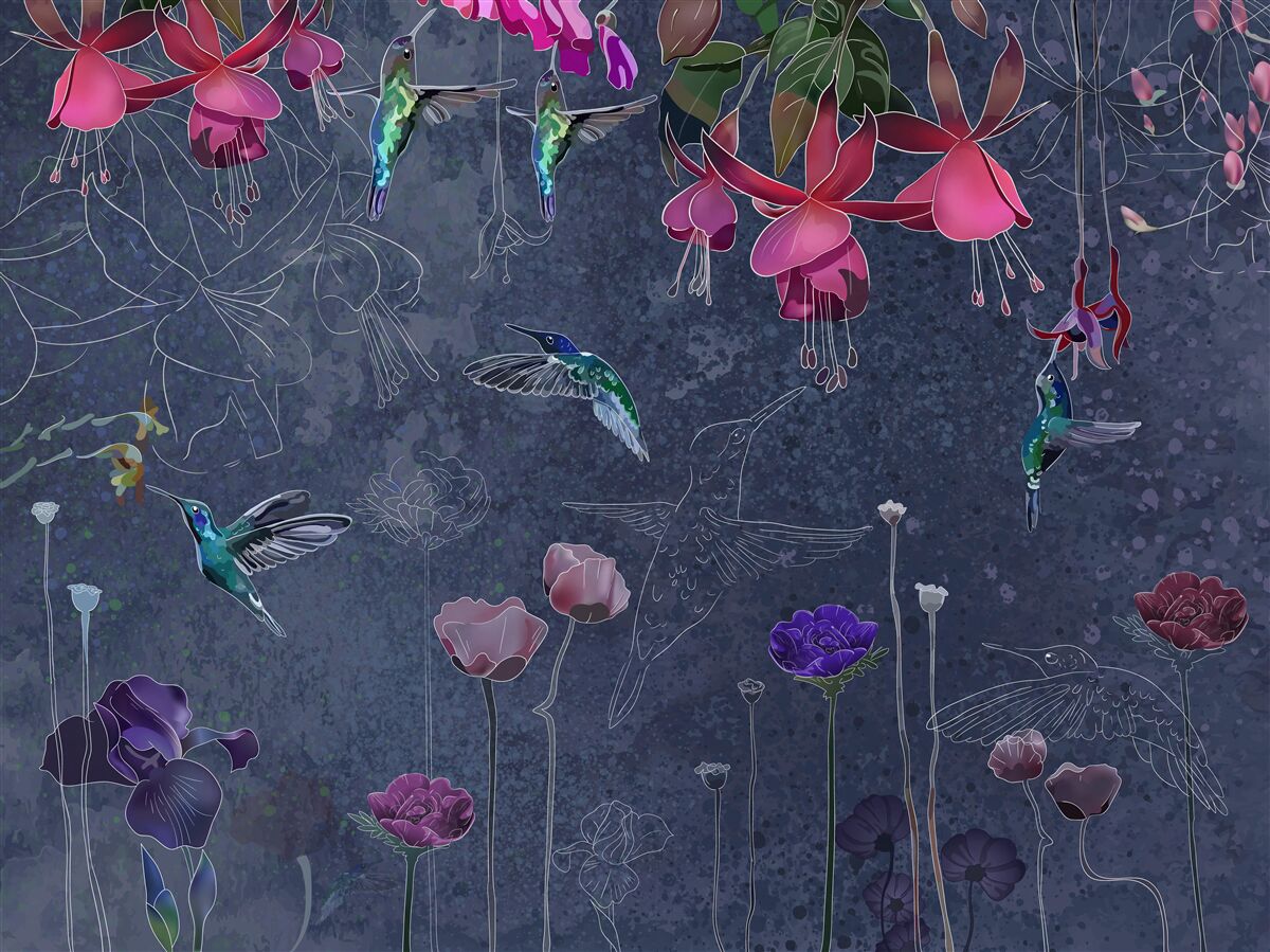 Fotobehang bloemennectar is een drankje voor kolibries