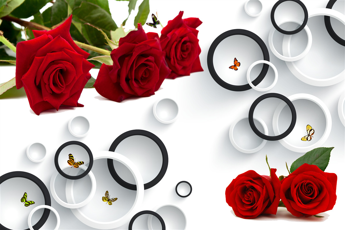 Fotobehang cirkels en rozen in rood