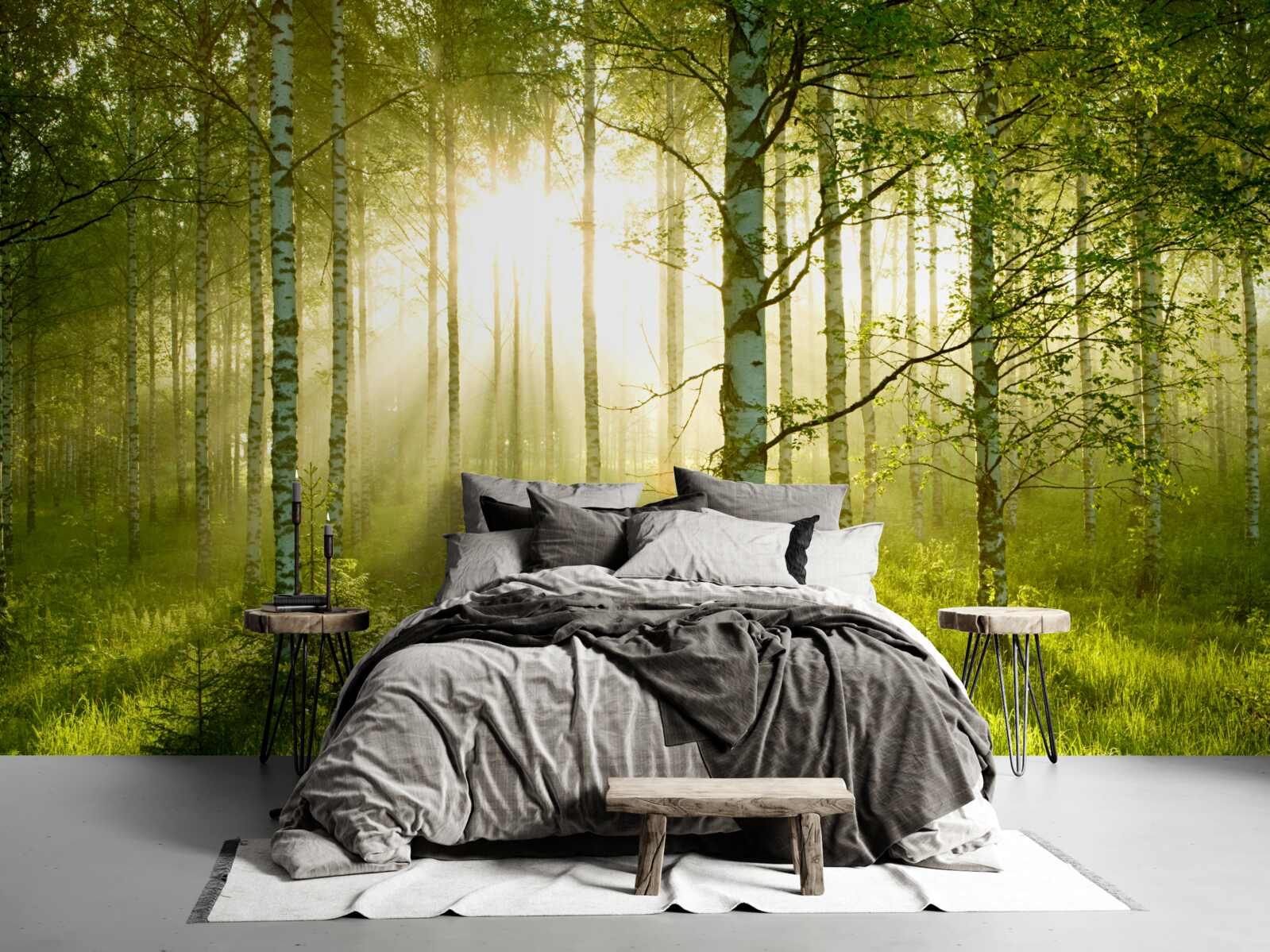 Fotobehang Dageraad in het berkenbos