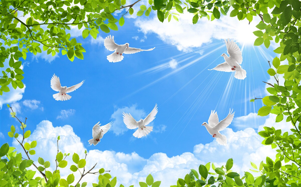 Fotobehang groenomrande duiven glijden door de blauwe lucht