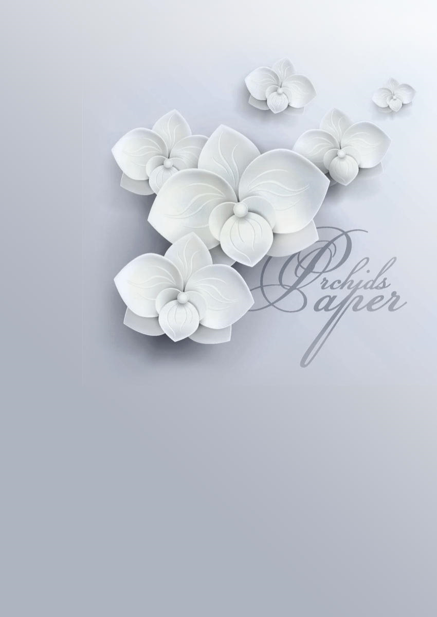 Fotobehang grijze achtergrond versierd met witte orchideeën