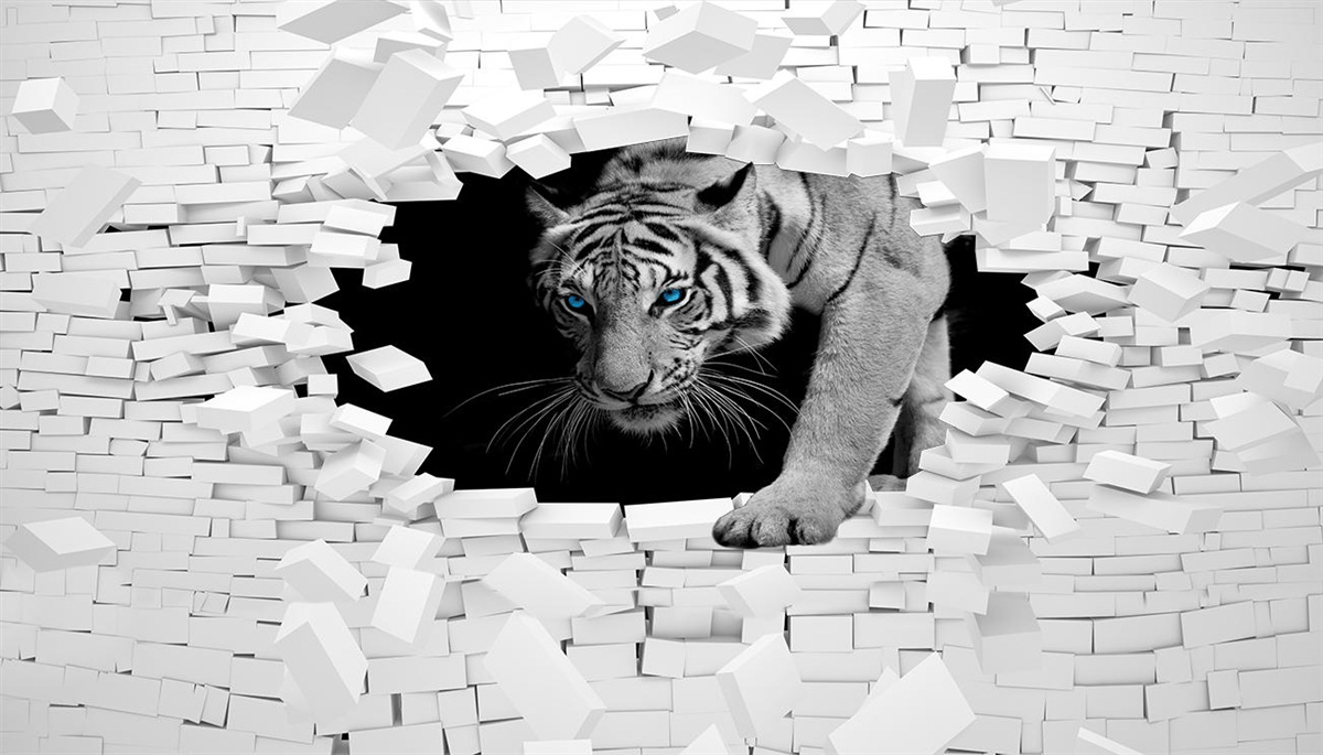 Fotobehang tijger vernietigt bakstenen muur