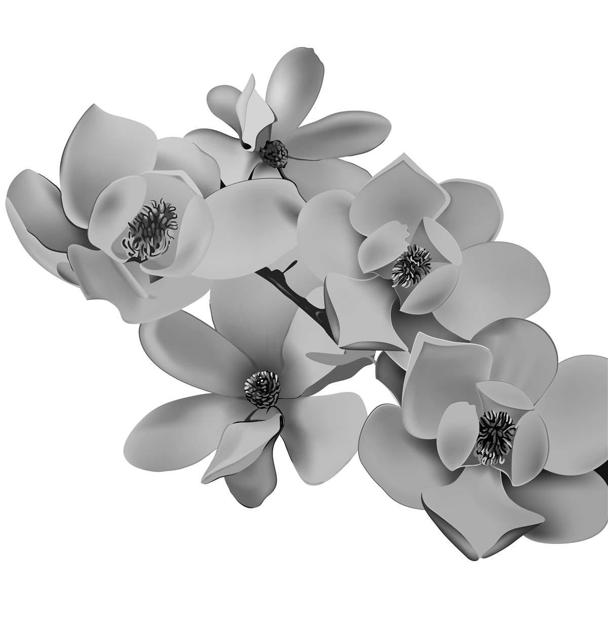 Fotobehang scharlakenrode bloemen op een zuiver witte achtergrond