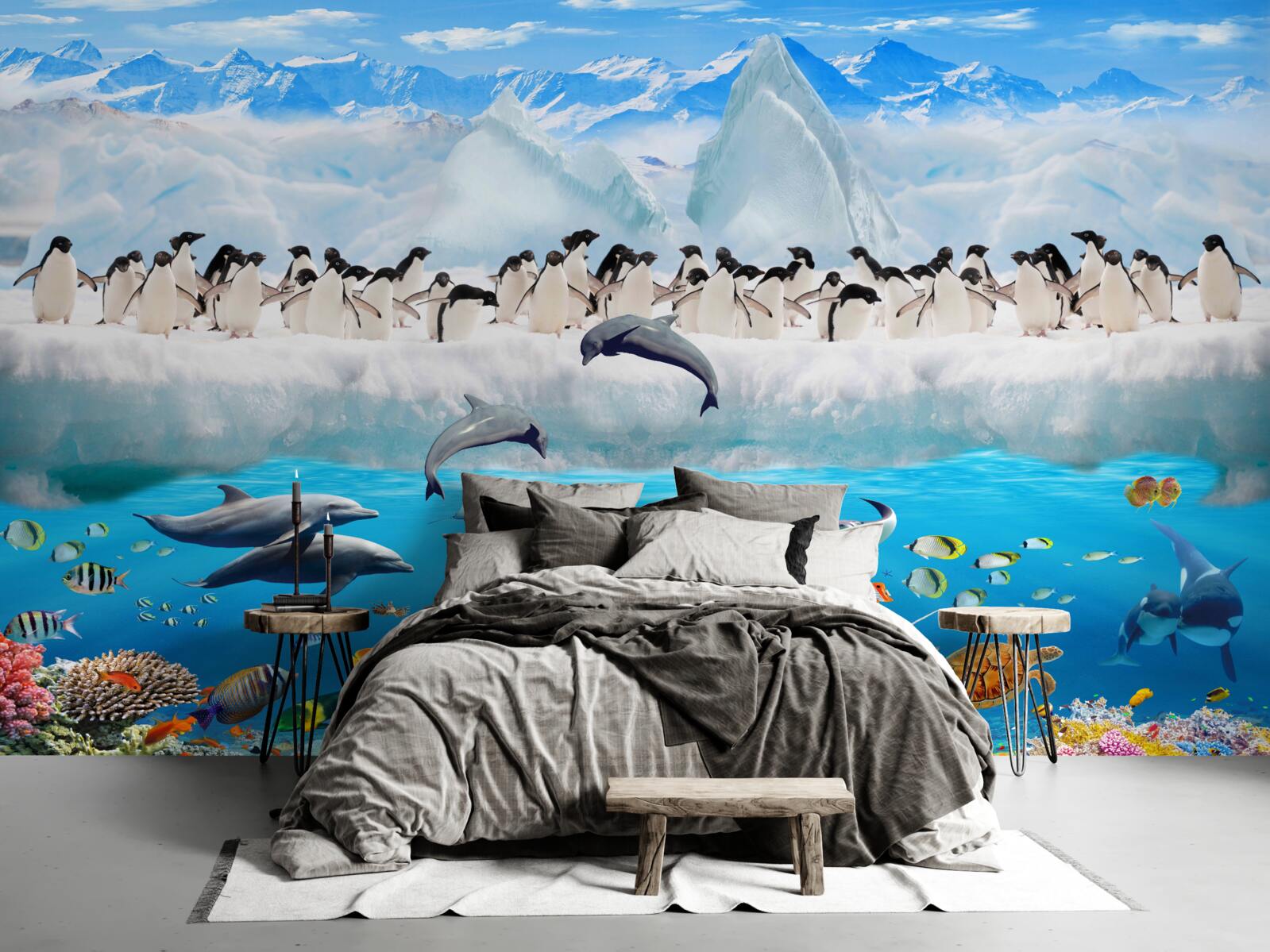 Fotobehang dolfijnen en pinguïns leven in koraalriffen