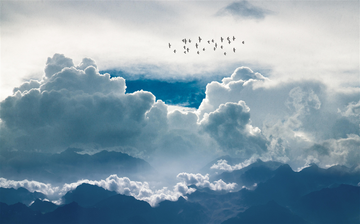 Fotobehang groep vogels boven dikke wolken