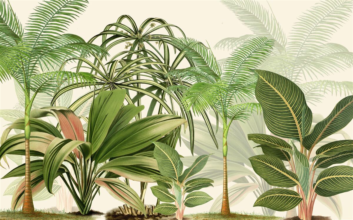 Fotobehang tropische bomen, inclusief palmen