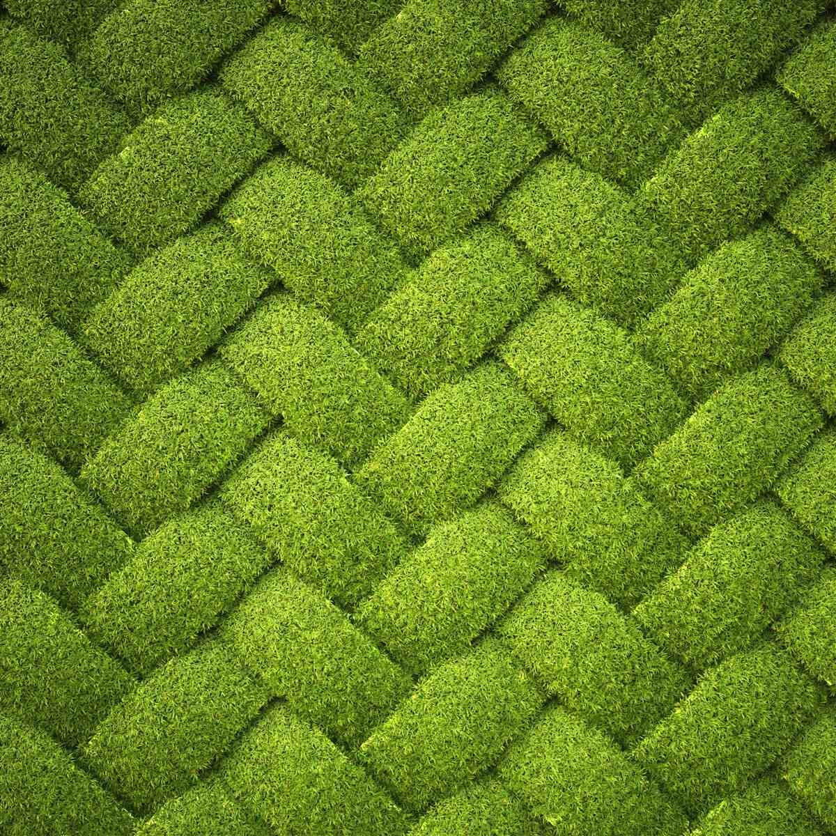 Fotobehang het groene gazon blokkeren