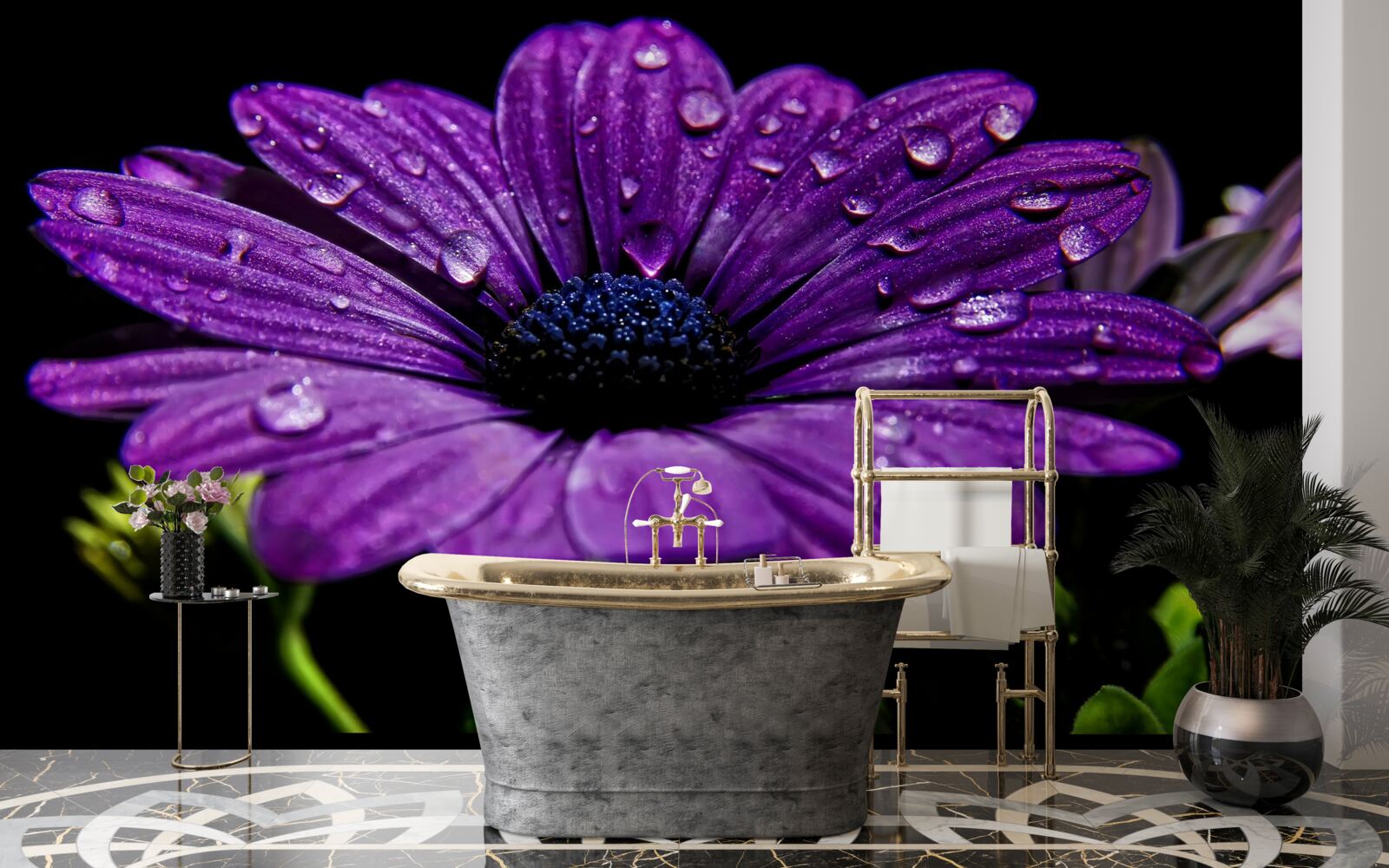 Fotobehang waterdruppels op een paarse gerberabloem