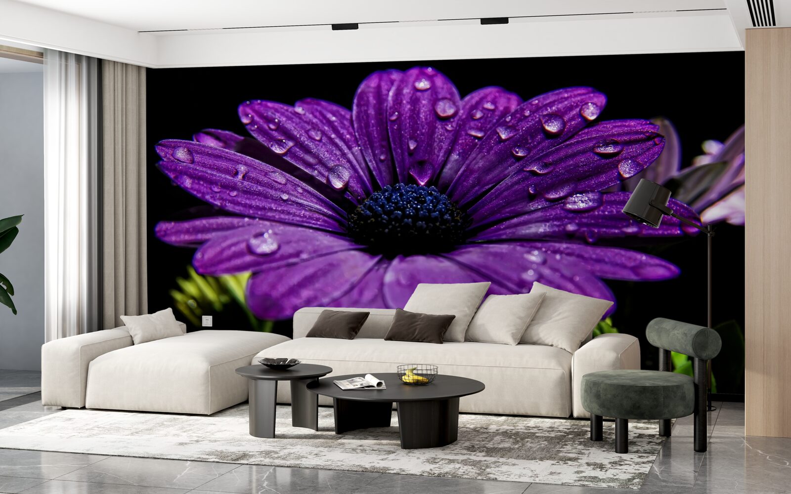 Fotobehang waterdruppels op een paarse gerberabloem
