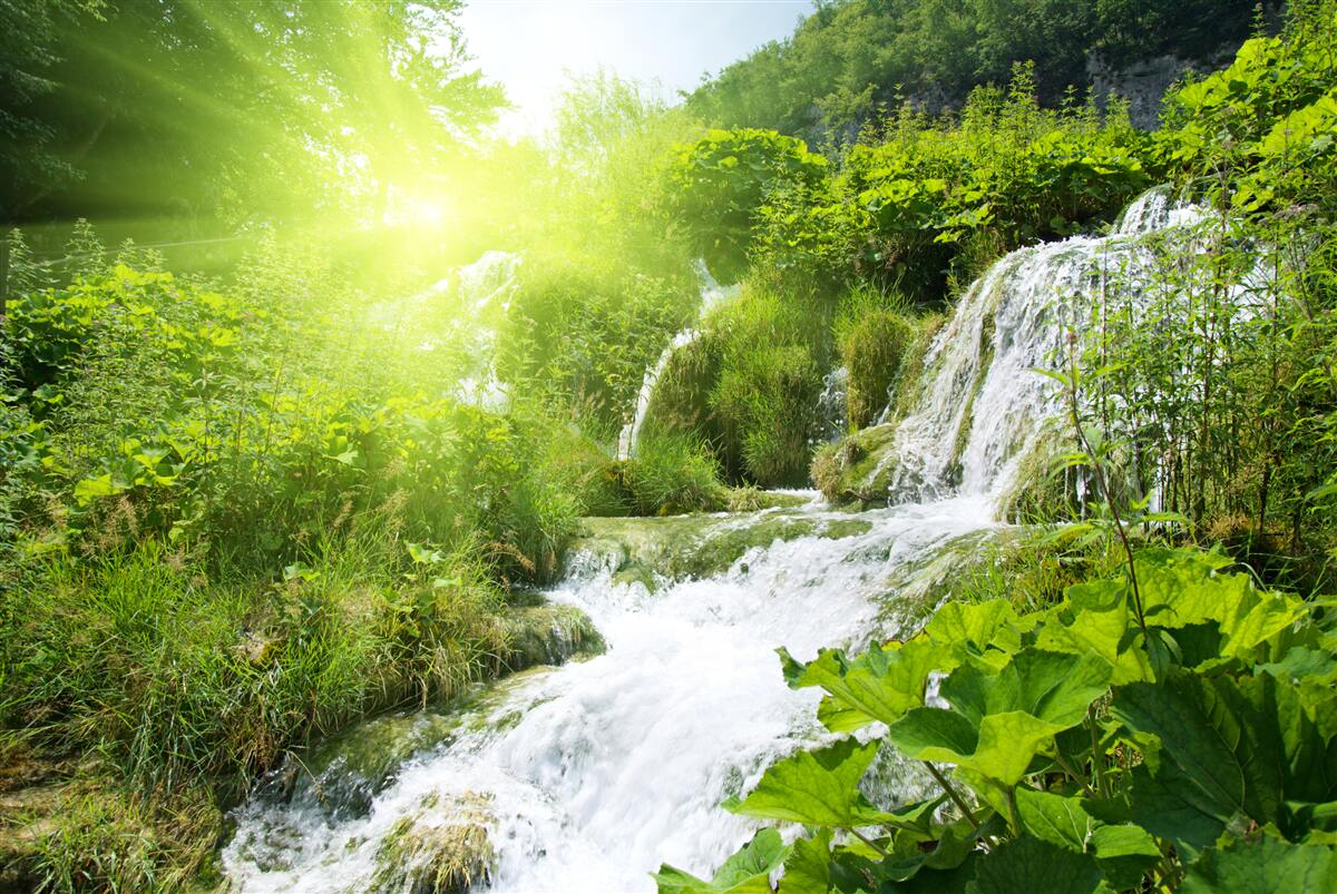 Fotobehang een mysterieuze waterval in een bergbos