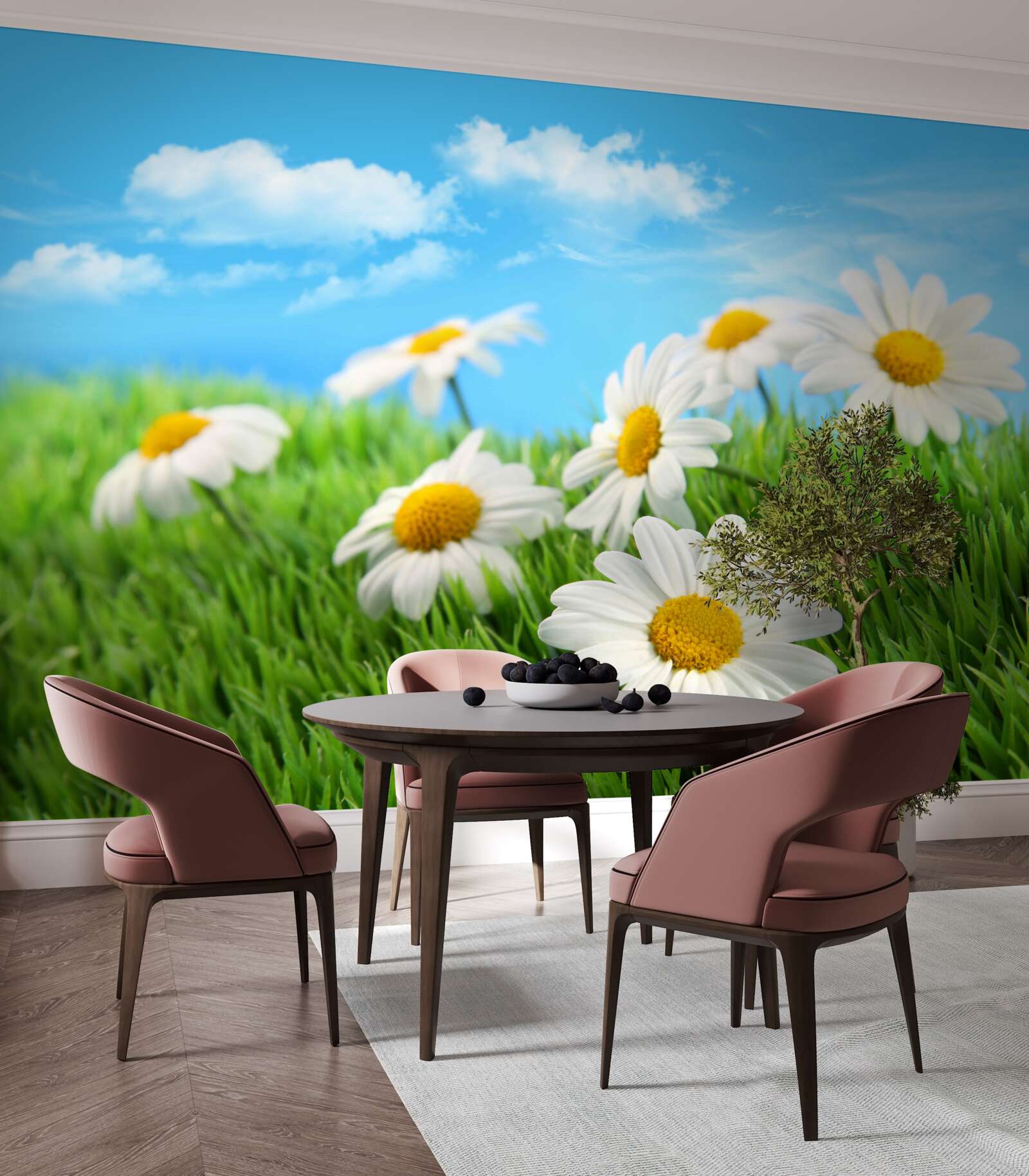 Fotobehang Sneeuwwitte margrieten