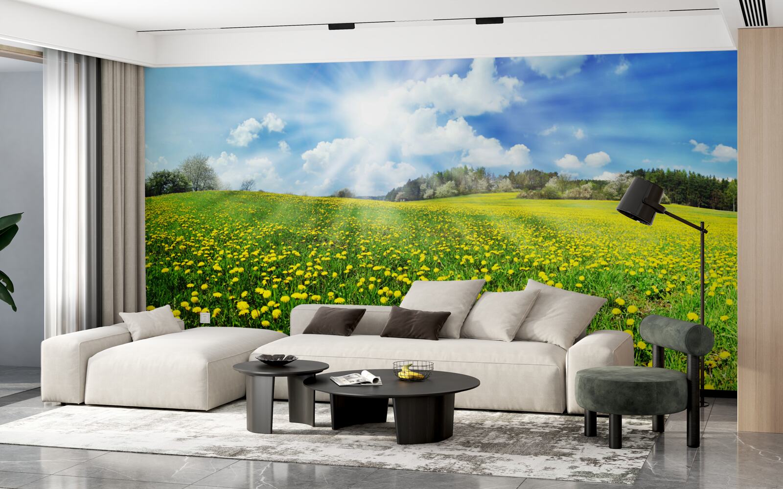 Fotobehang paardenbloem ruimte