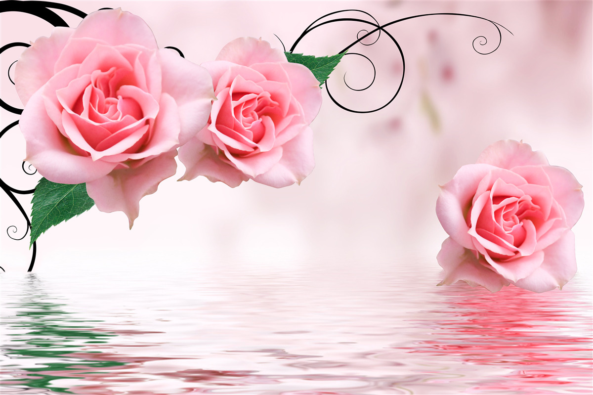 Fotobehang reflectie van een roze roos in het water