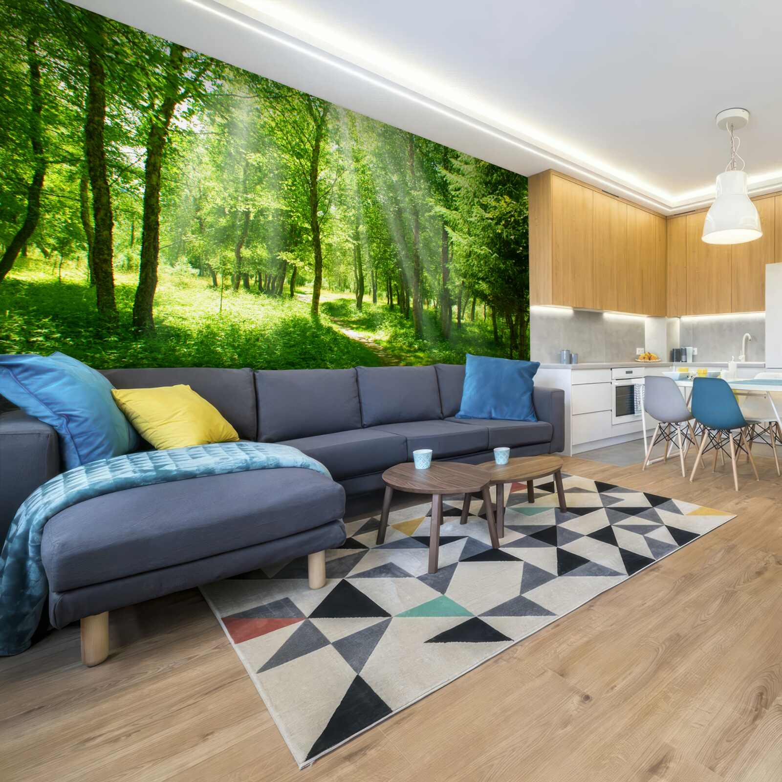 Fotobehang de zonnestralen schijnen helder door de kronen van de bosbomen