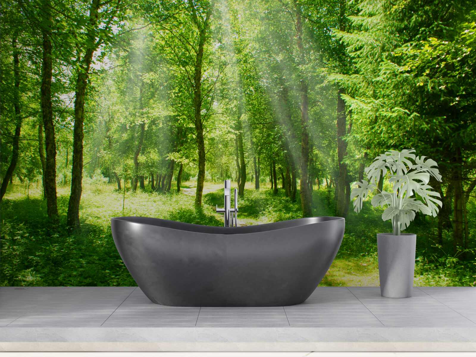 Fotobehang de zonnestralen schijnen helder door de kronen van de bosbomen