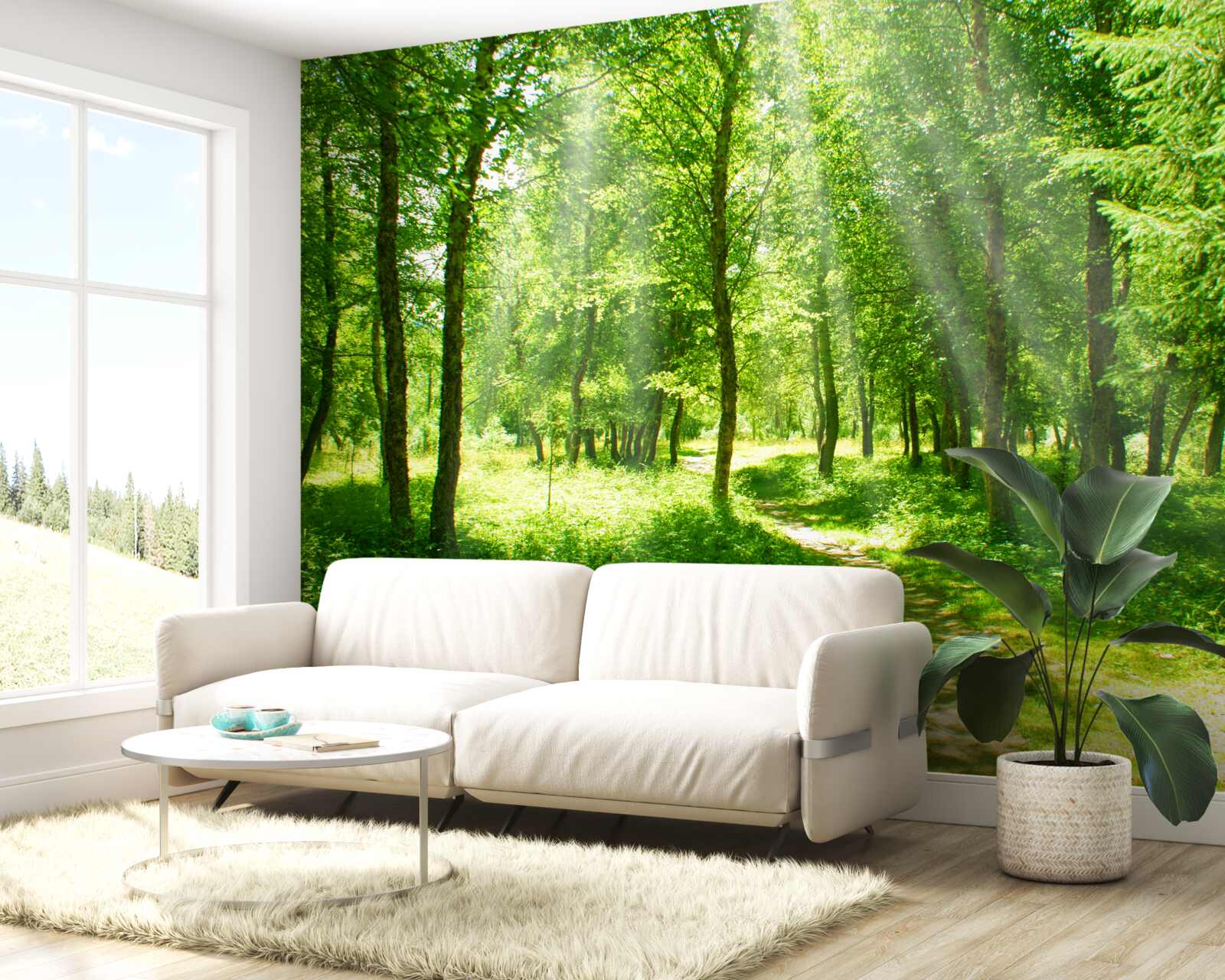 Fotobehang de zonnestralen schijnen helder door de kronen van de bosbomen