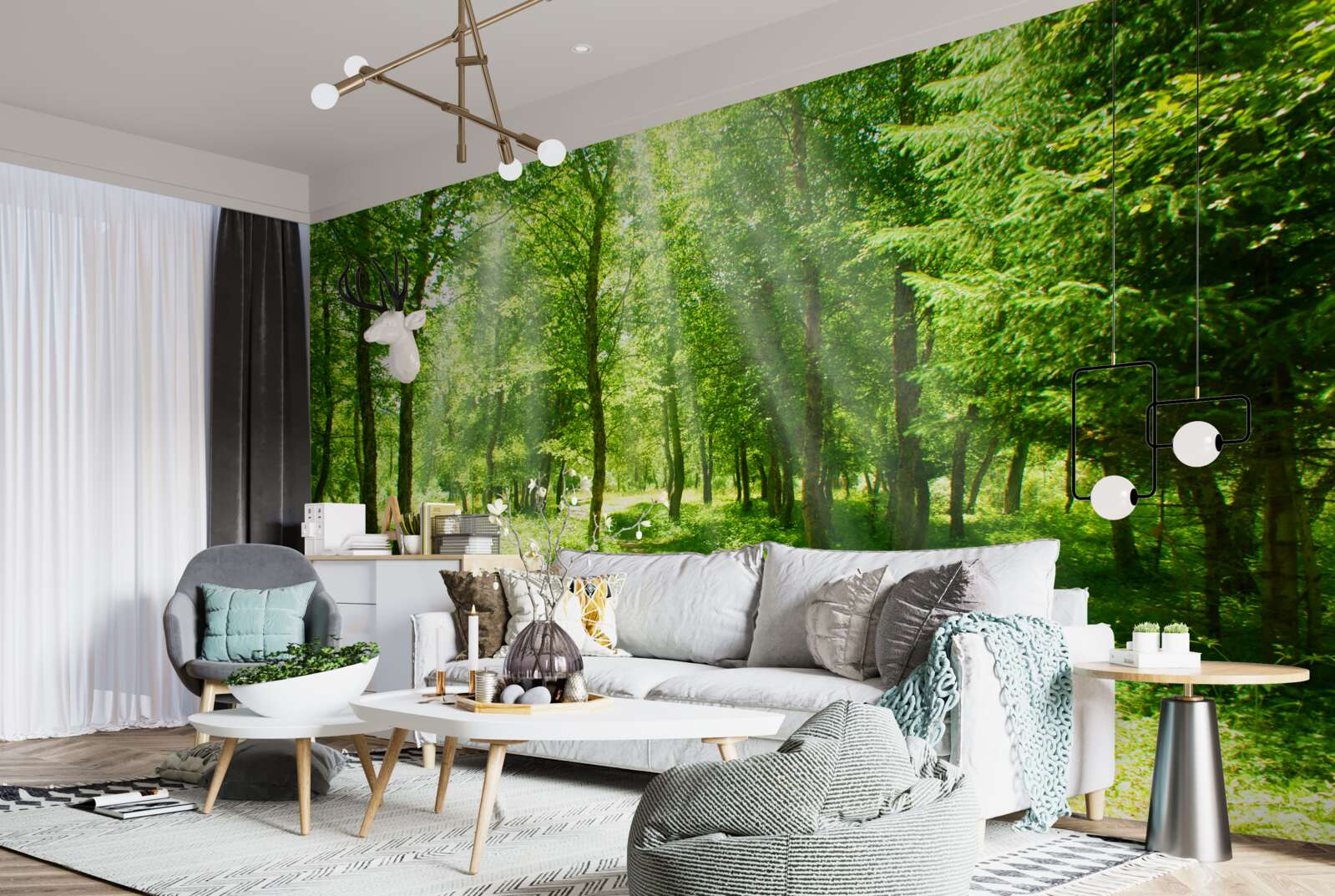 Fotobehang de zonnestralen schijnen helder door de kronen van de bosbomen