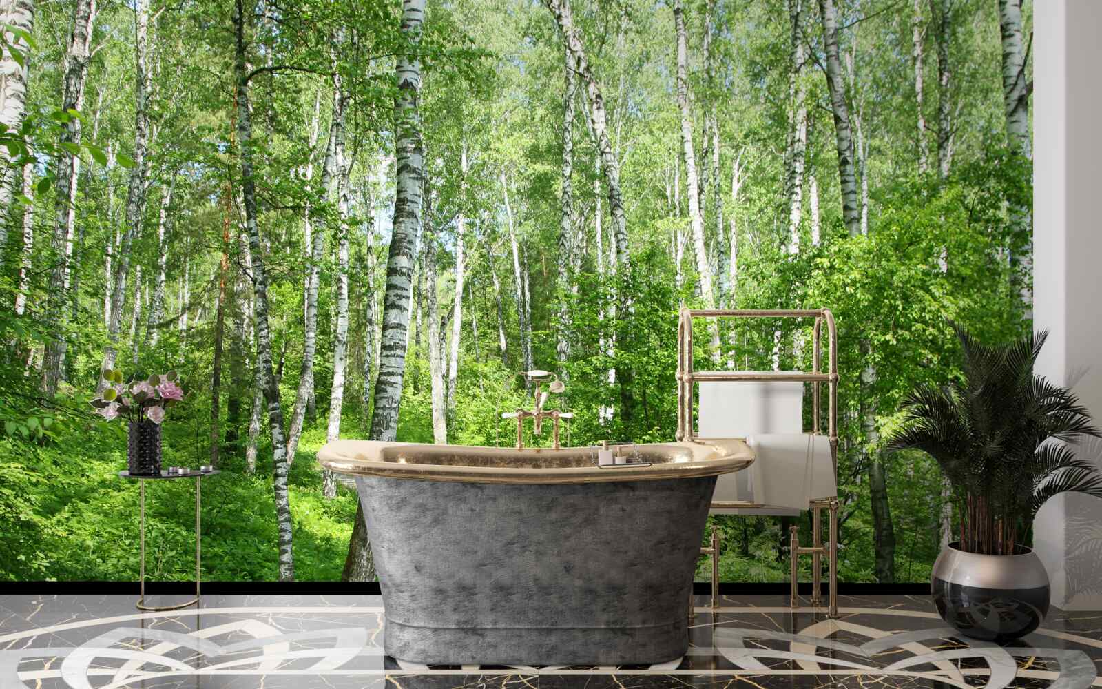 Fotobehang Pad door het berkenbos tijdens het zomerseizoen