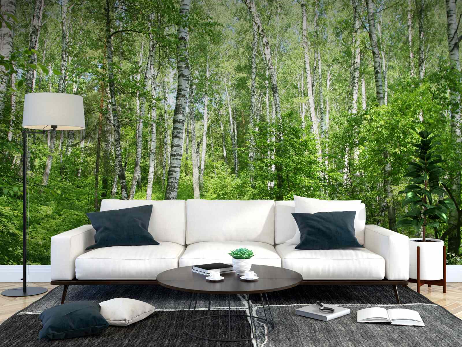 Fotobehang Pad door het berkenbos tijdens het zomerseizoen