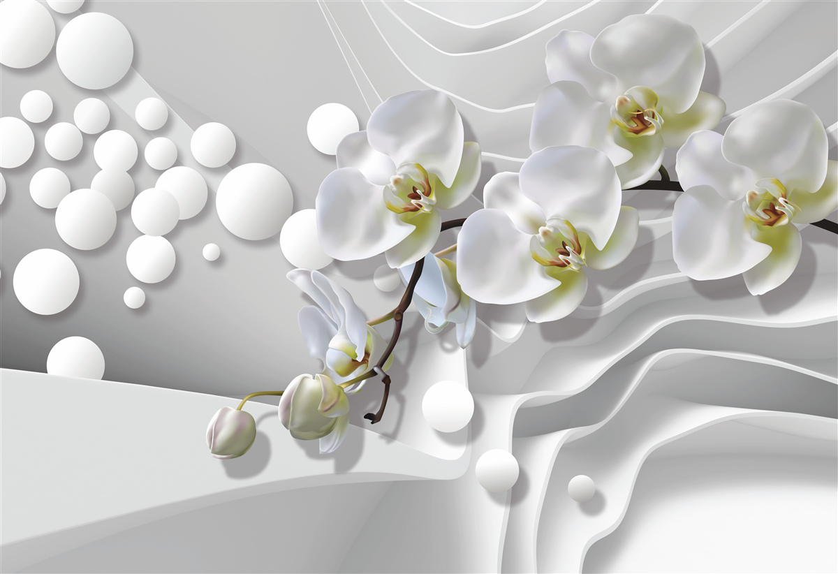 Fotobehang orchidee met abstracte witte tak