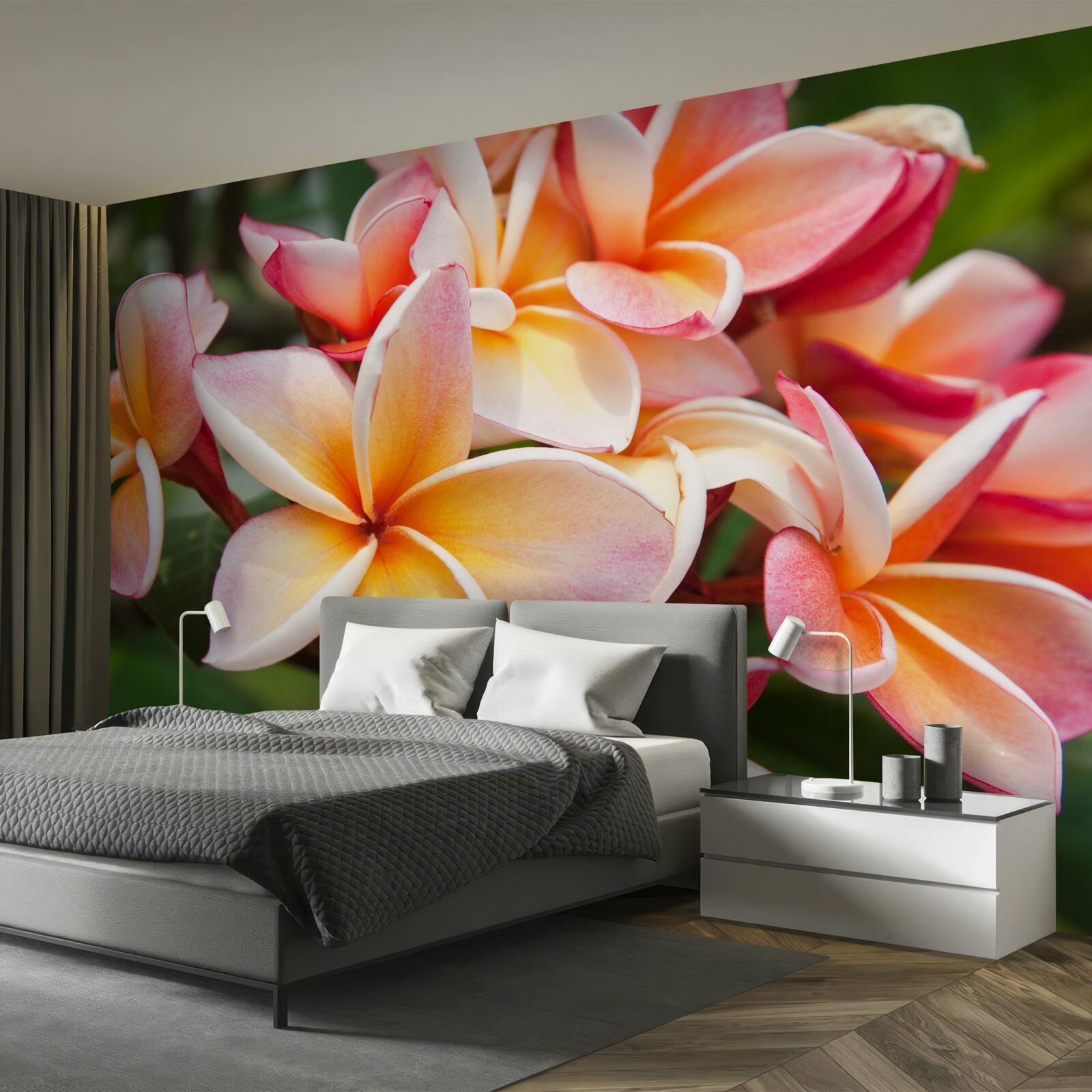 Fotobehang frangipani met mooie bloemen