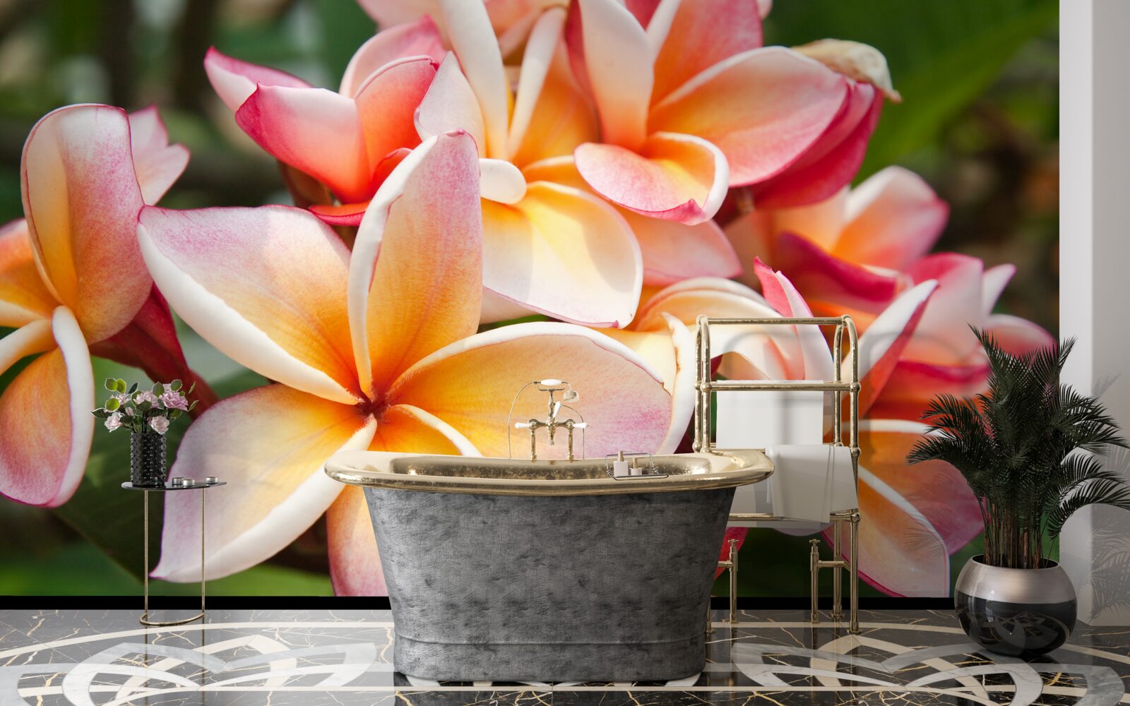 Fotobehang frangipani met mooie bloemen