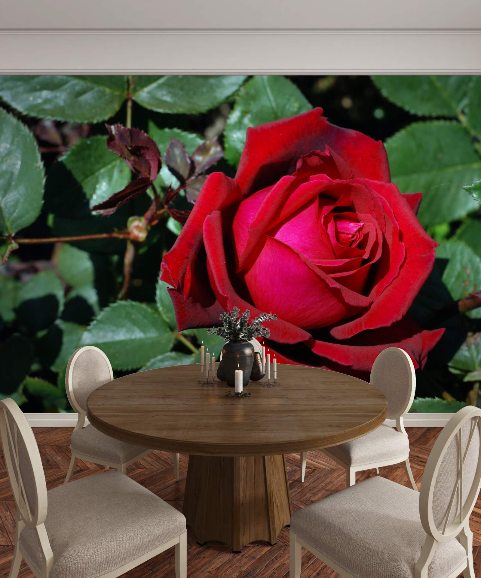 Fotobehang een scharlakenrode roos heeft gebloeid in de tuin