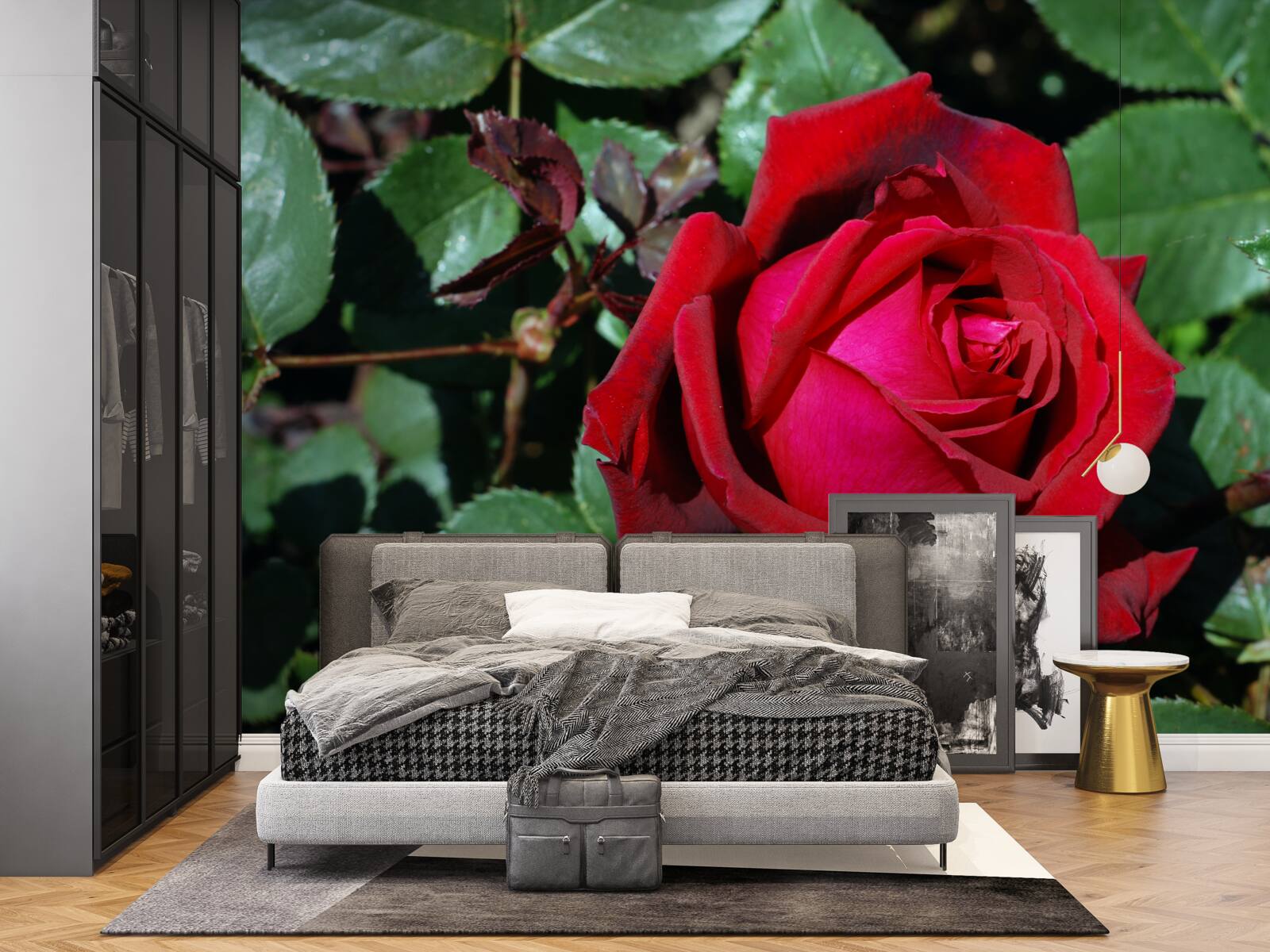 Fotobehang een scharlakenrode roos heeft gebloeid in de tuin