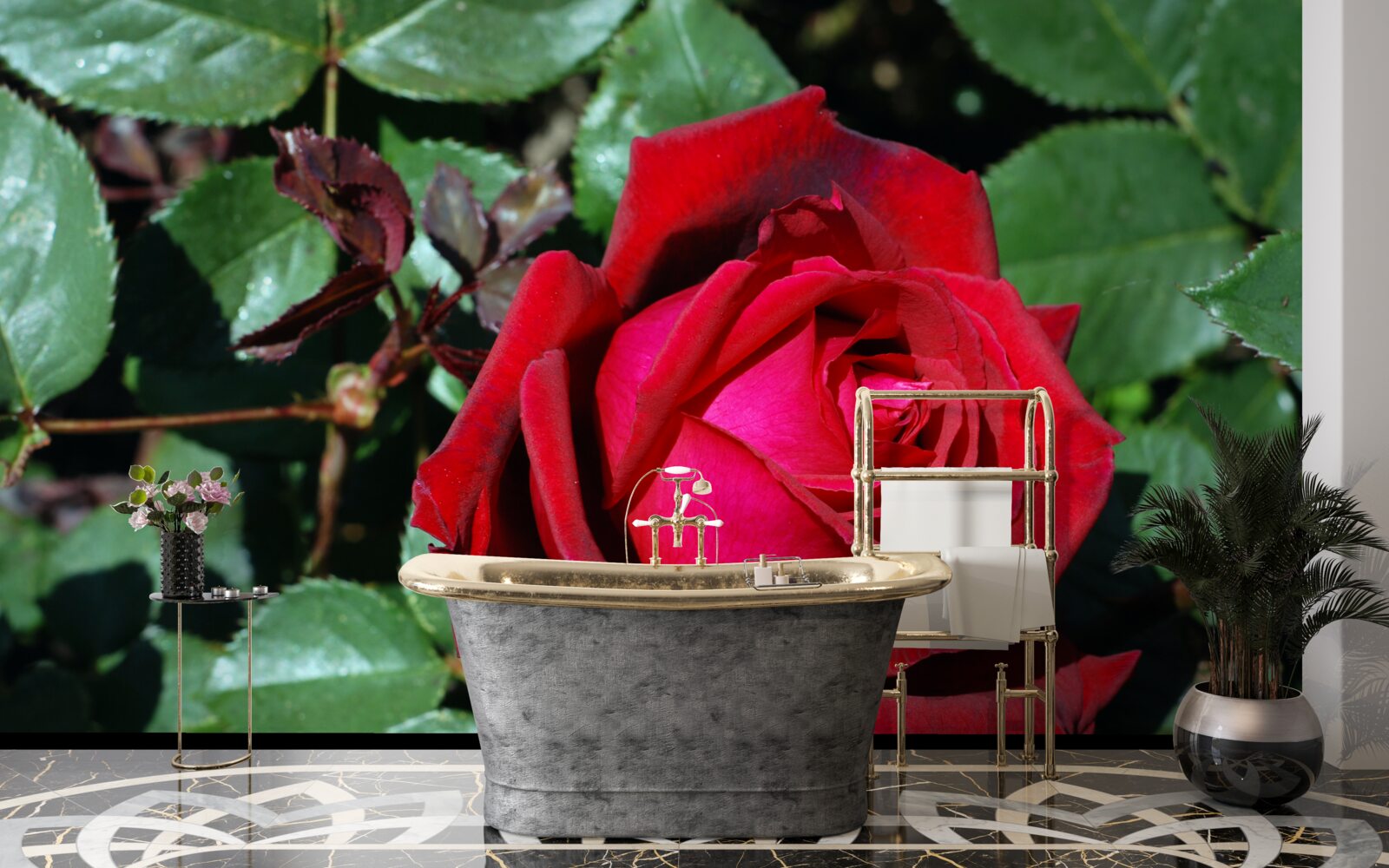 Fotobehang een scharlakenrode roos heeft gebloeid in de tuin