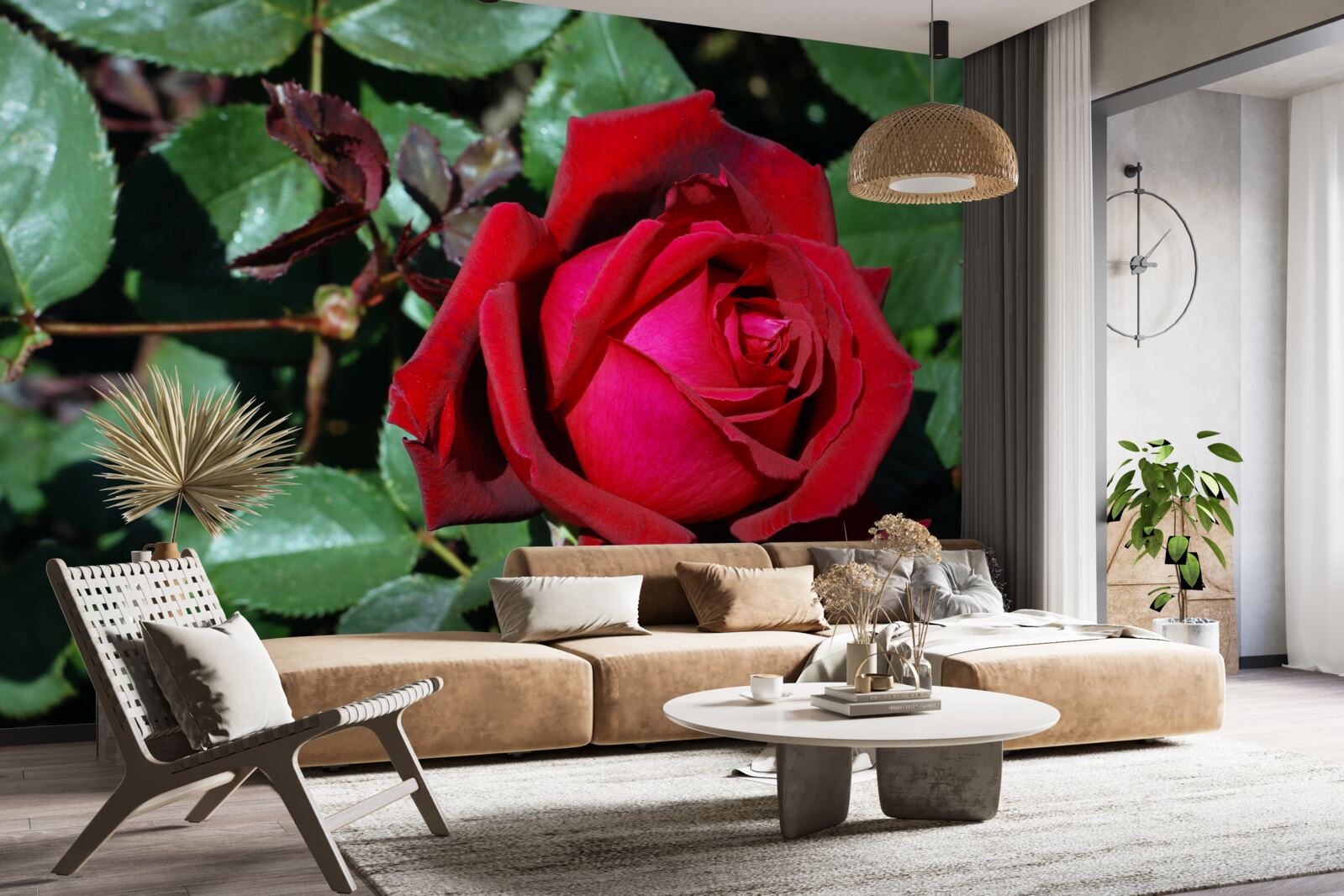 Fotobehang een scharlakenrode roos heeft gebloeid in de tuin