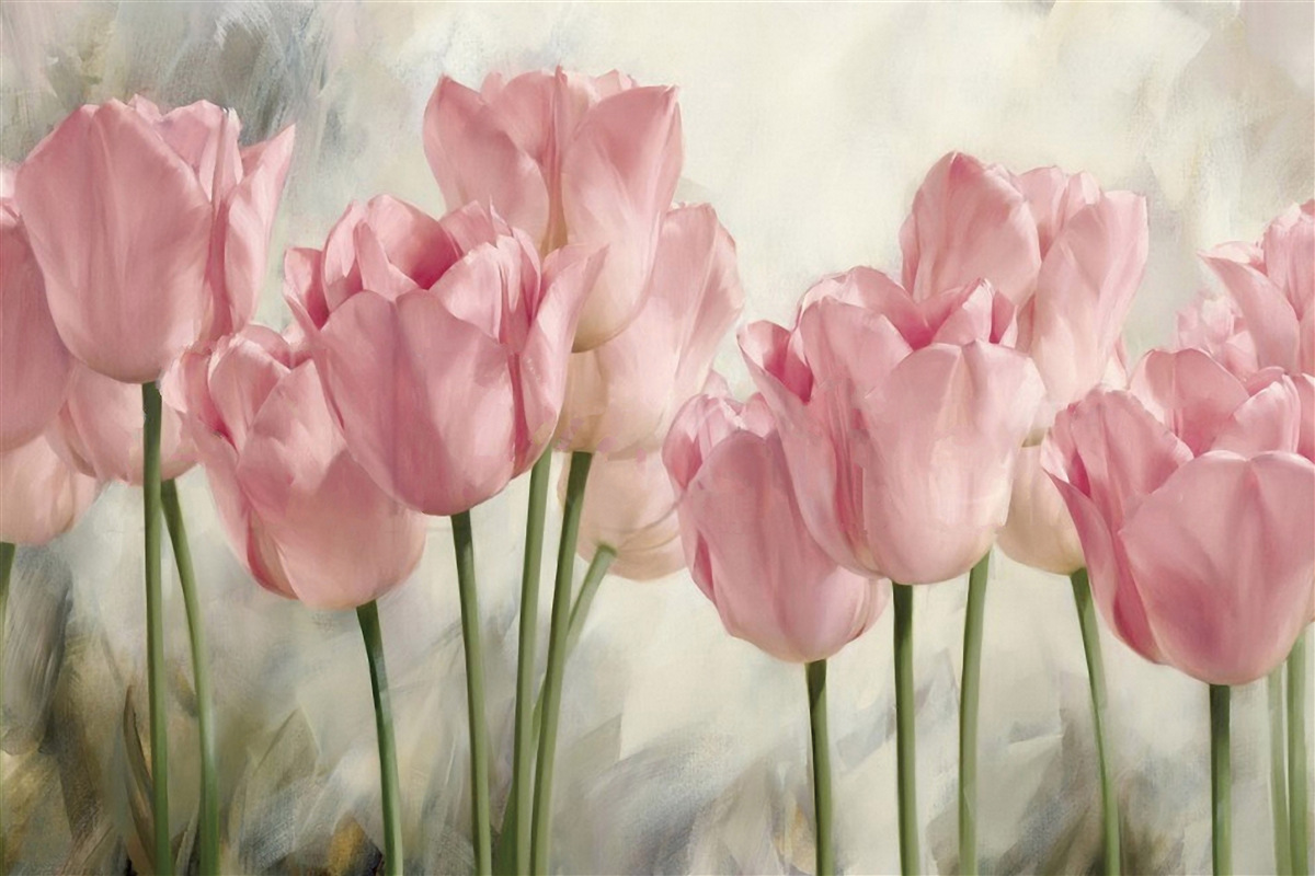 Fotobehang tere roze tulpen