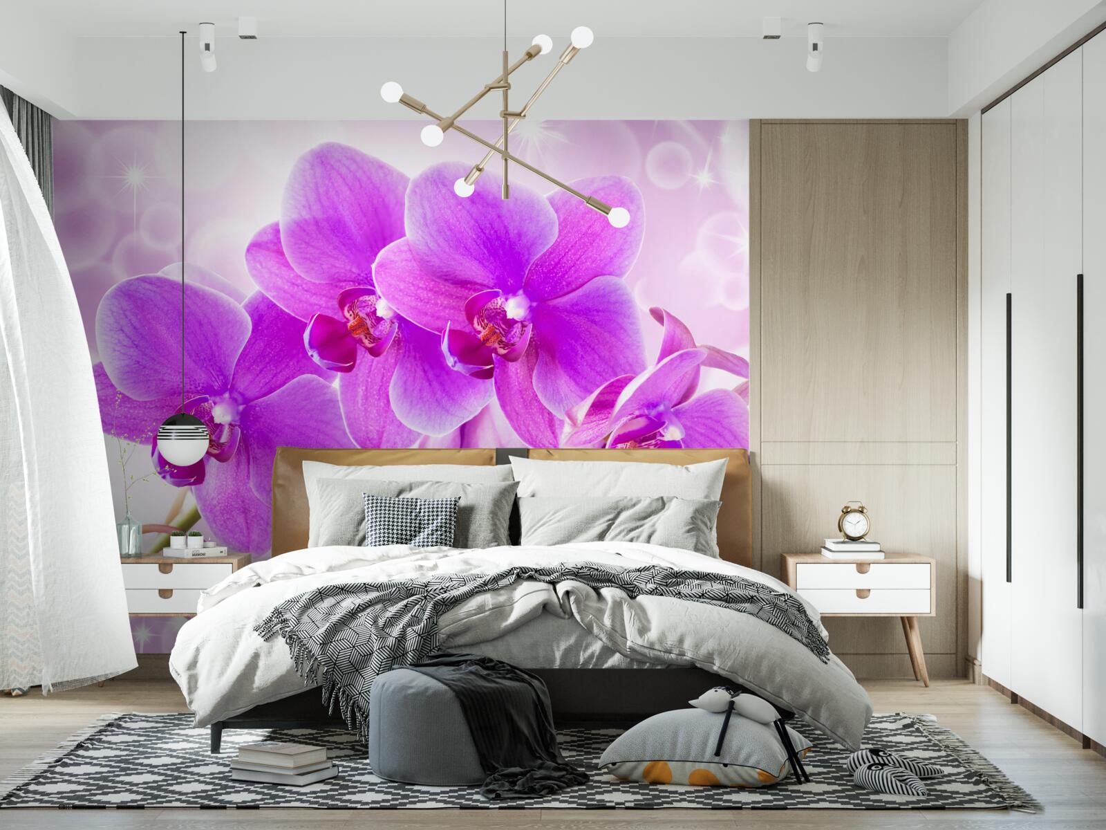 Fotobehang de delicate paarse orchidee ziet er echt indrukwekkend uit