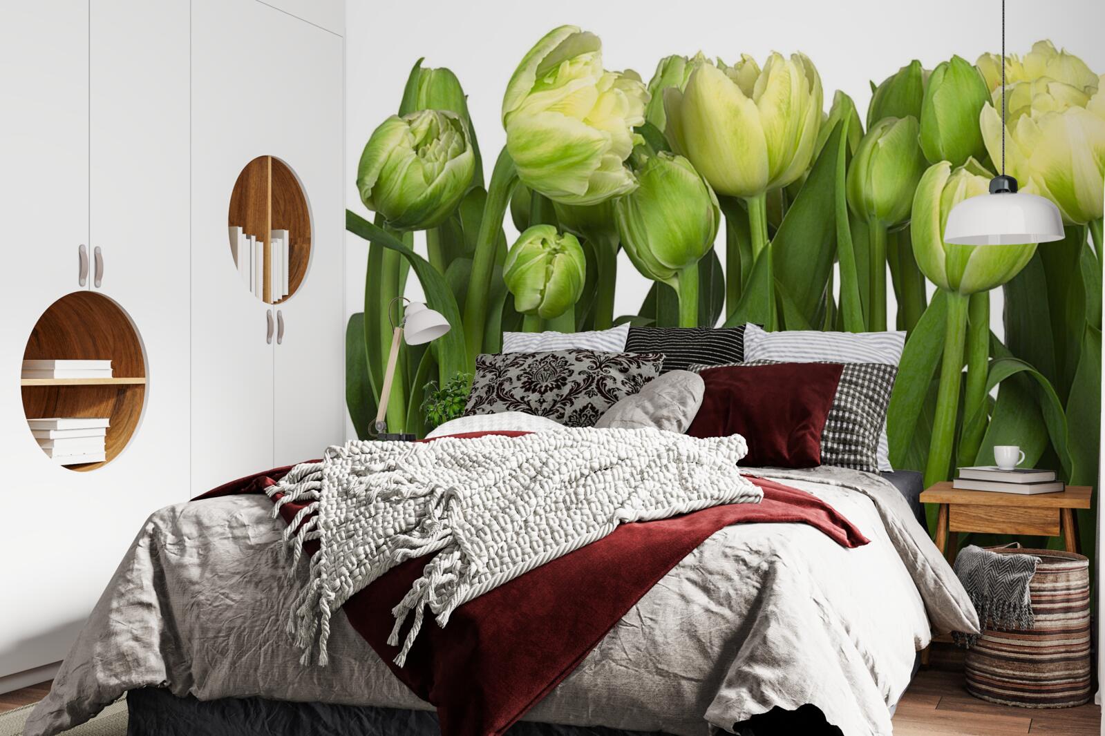 Fotobehang set gedeeltelijk geopende lichte tulpen