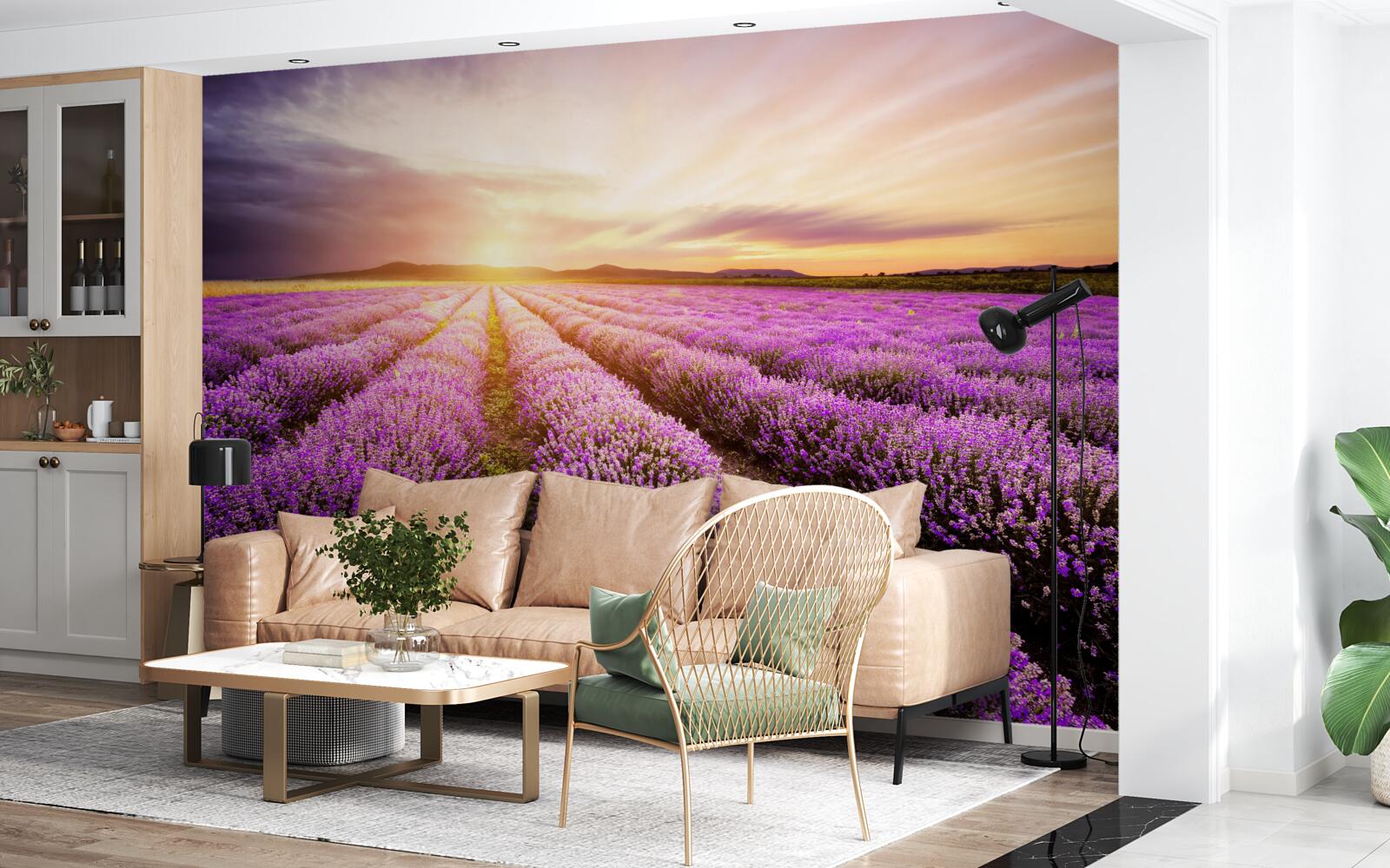 Fotobehang zonsondergang boven een veld lavendel