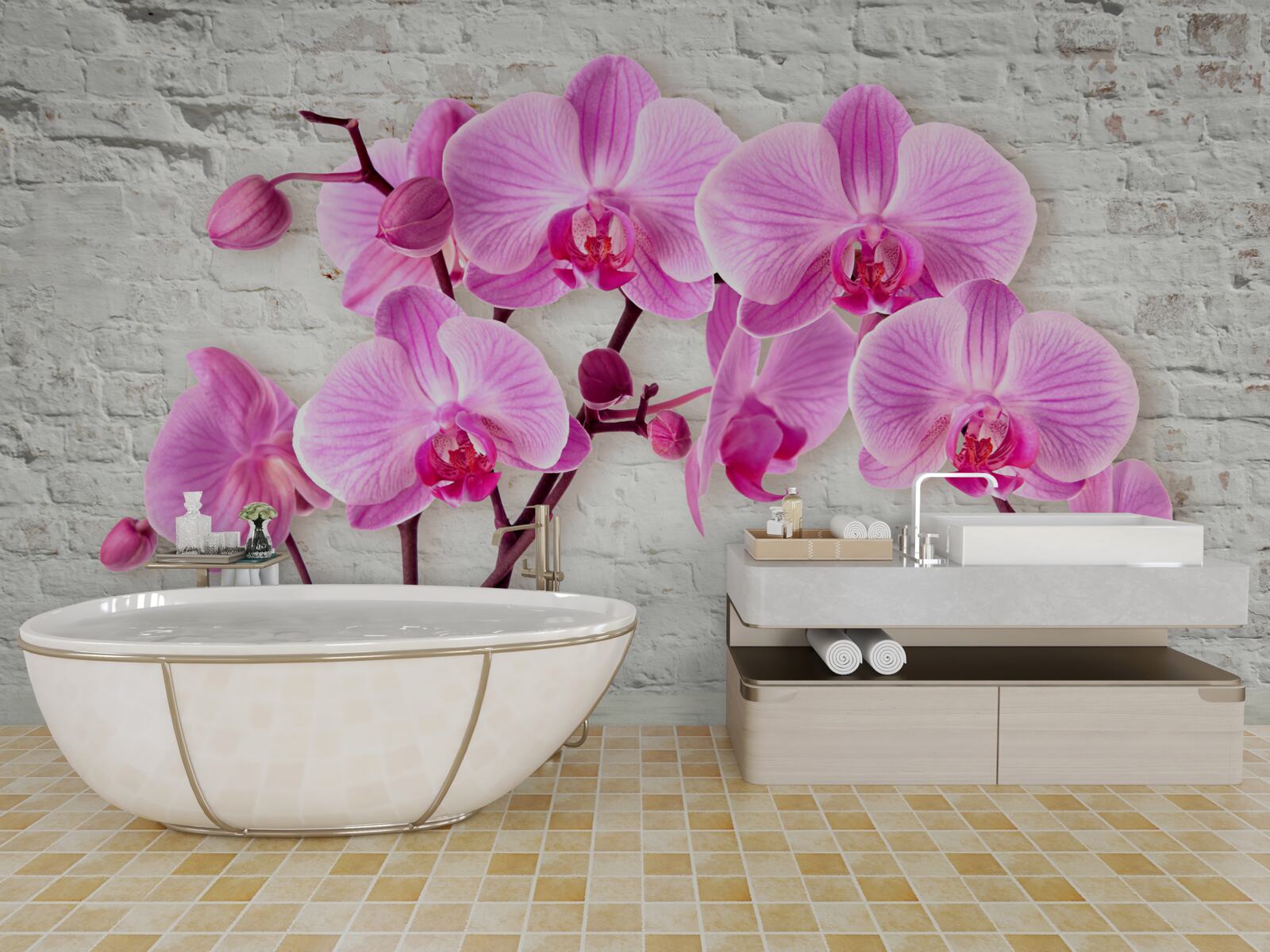Fotobehang zacht paarse orchidee bloem